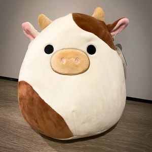 8 inch Ronnie Squishmallow RARE